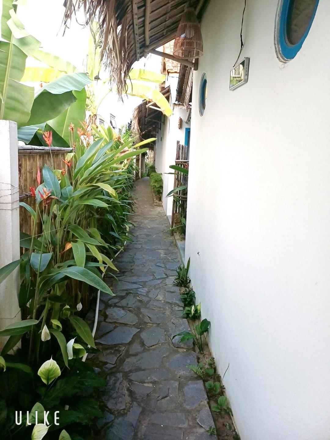 Cashew Tree Bungalow Bed and Breakfast Hoi An Esterno foto