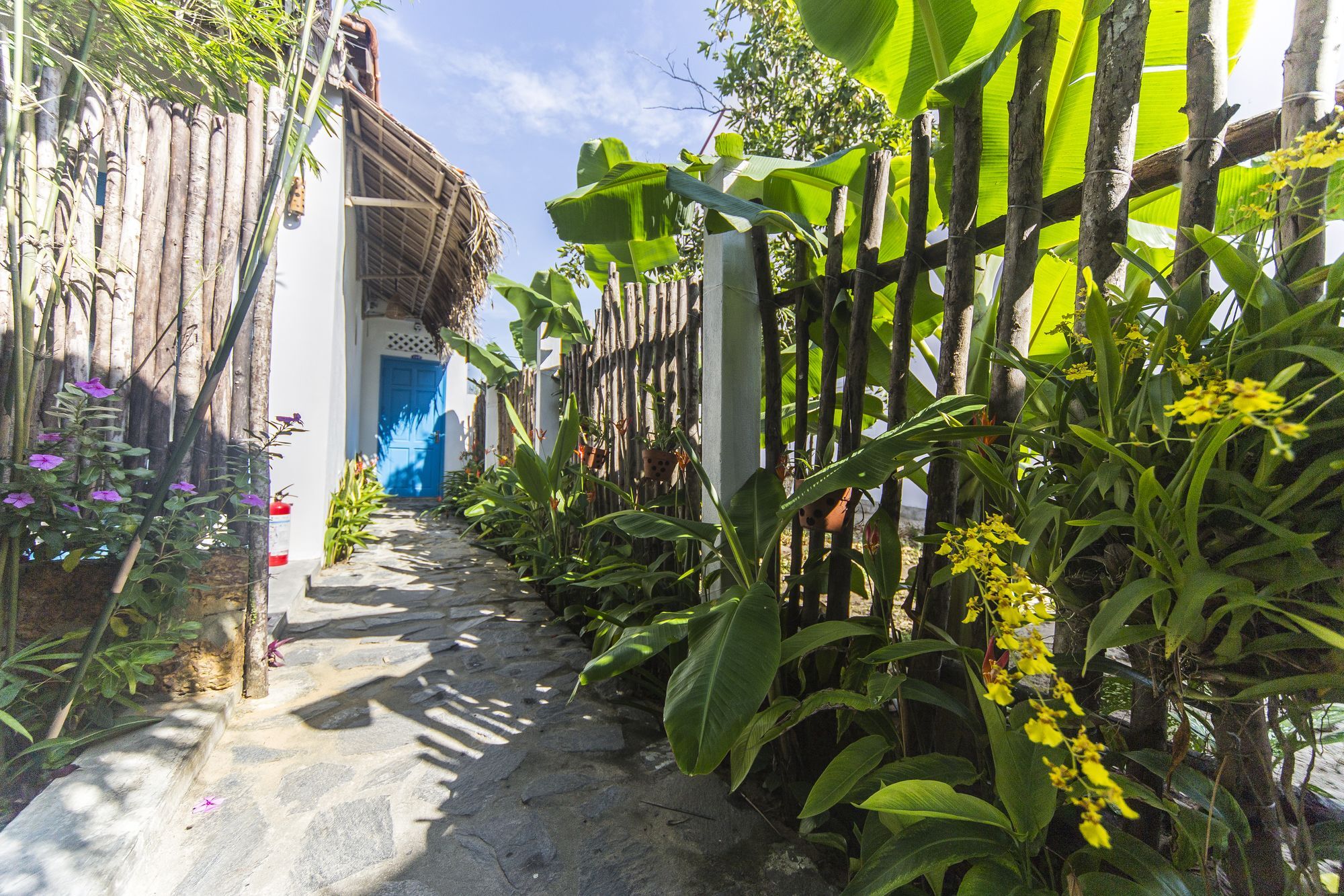 Cashew Tree Bungalow Bed and Breakfast Hoi An Esterno foto