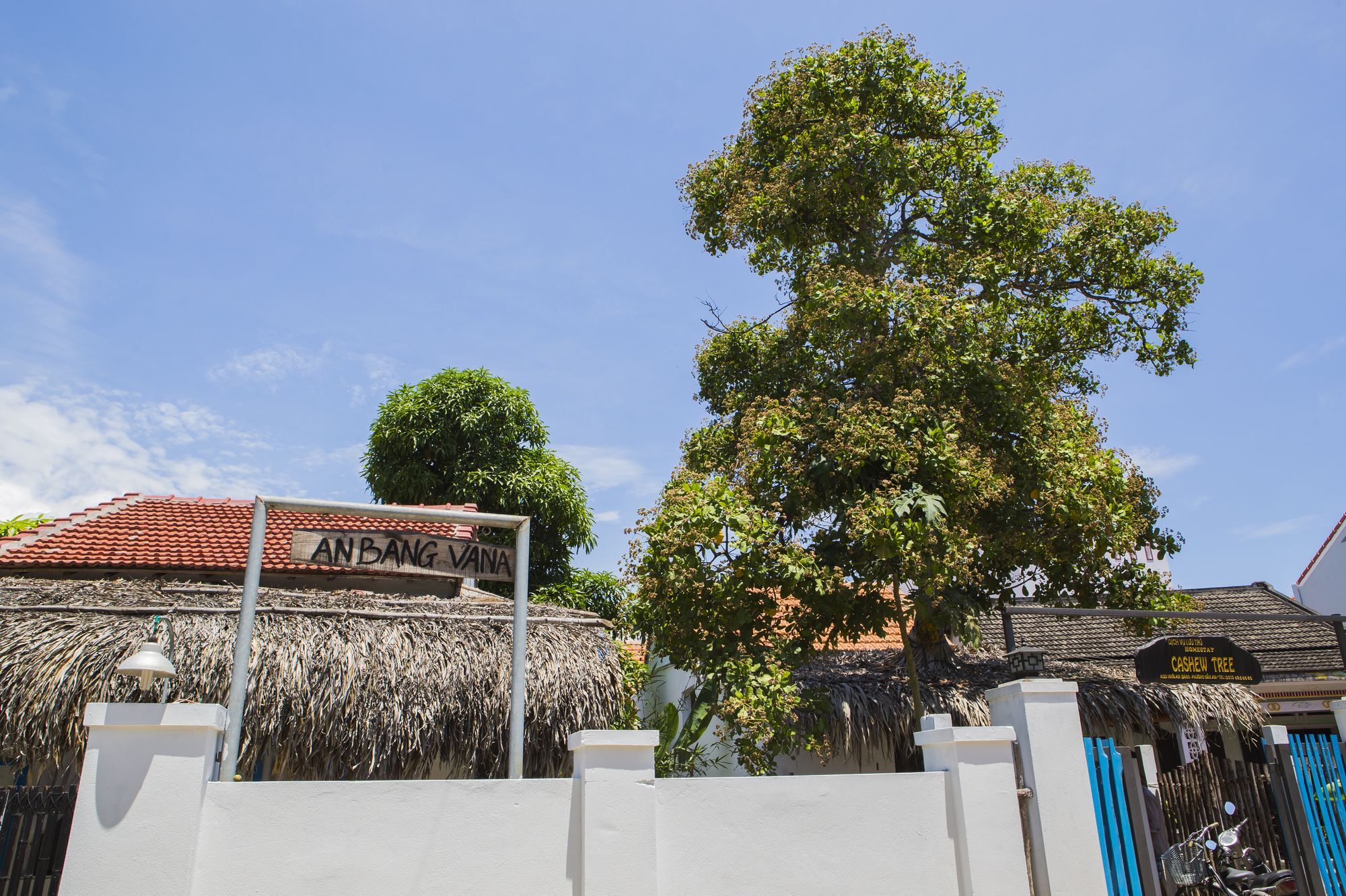 Cashew Tree Bungalow Bed and Breakfast Hoi An Esterno foto