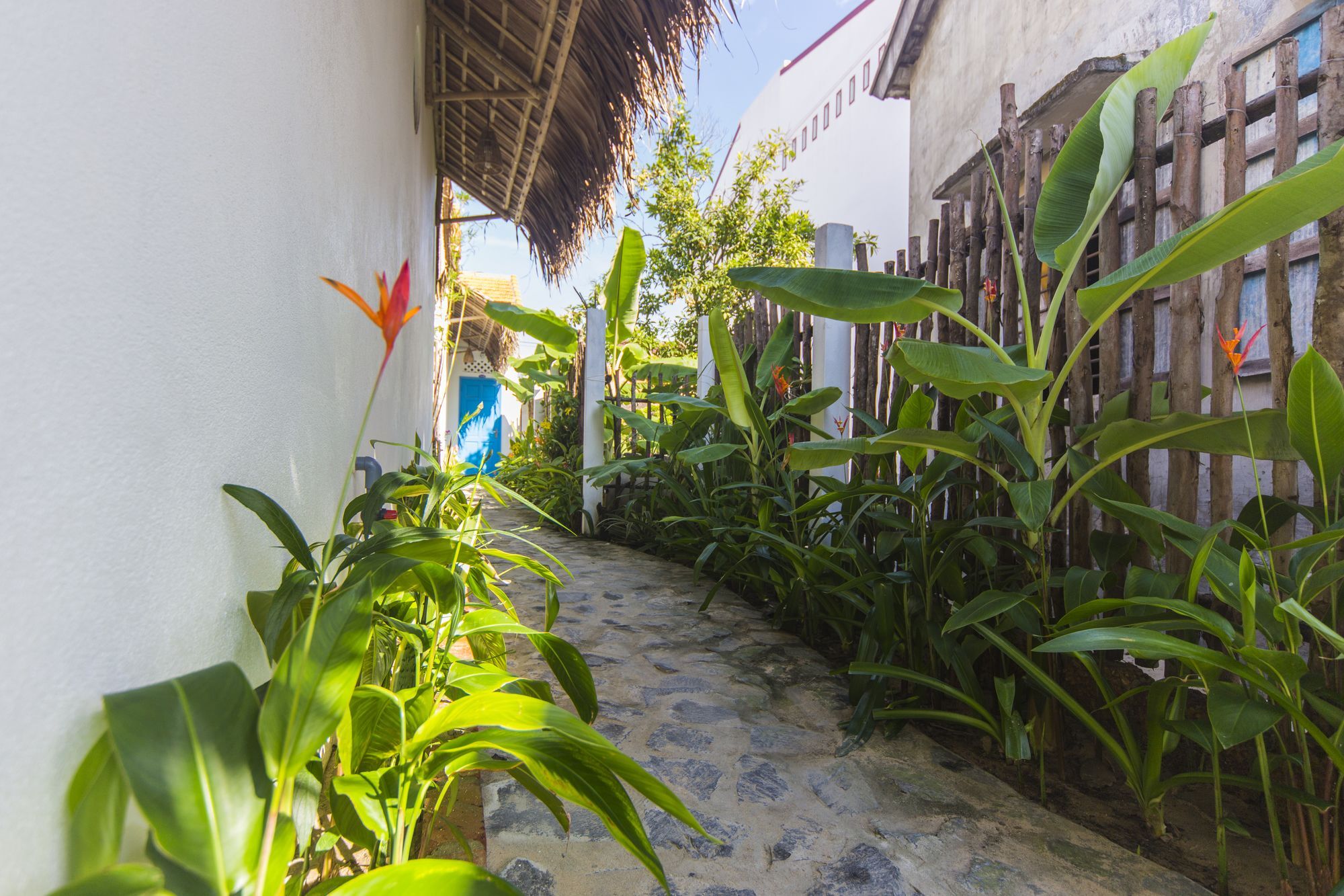 Cashew Tree Bungalow Bed and Breakfast Hoi An Esterno foto