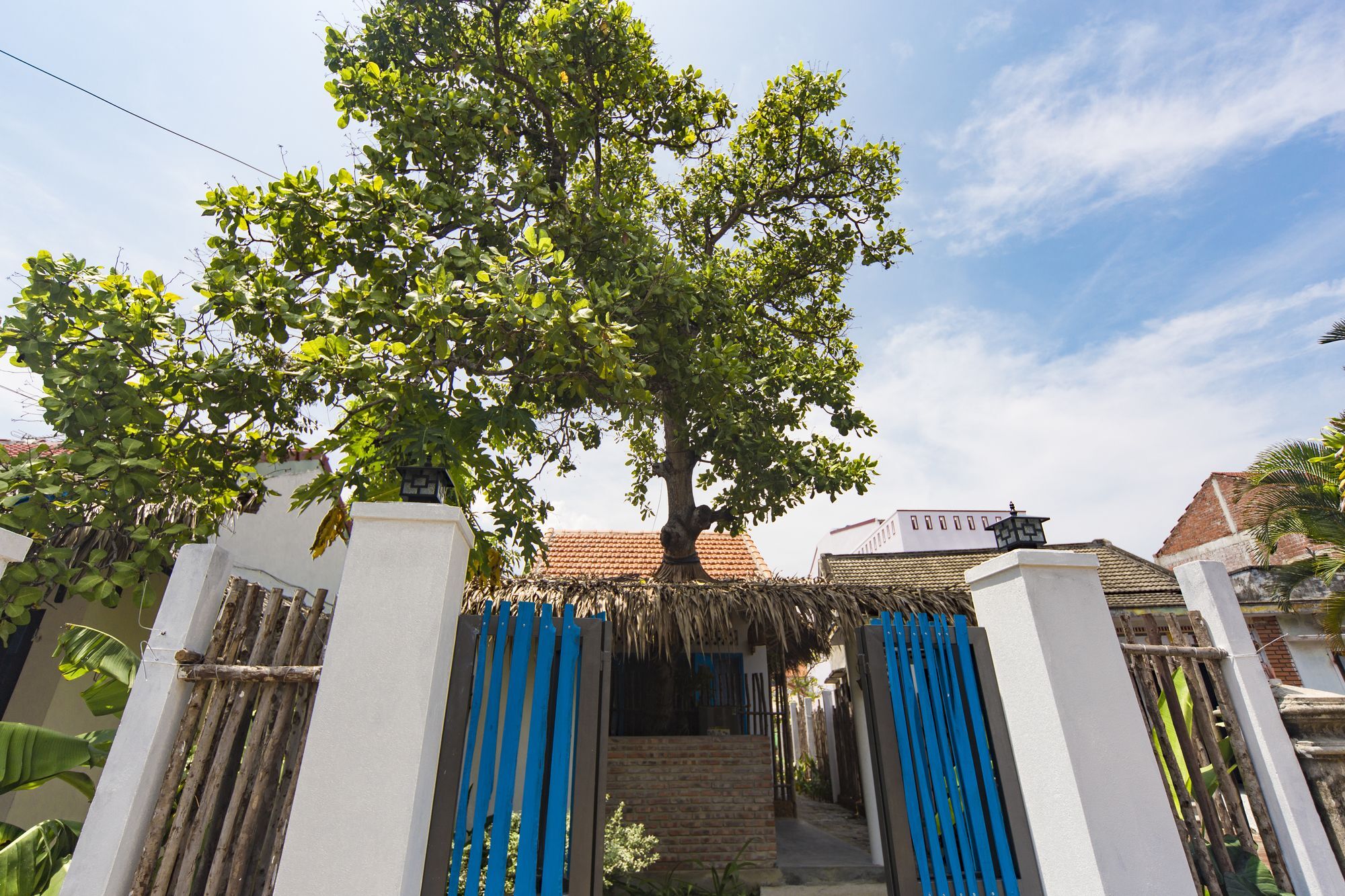 Cashew Tree Bungalow Bed and Breakfast Hoi An Esterno foto